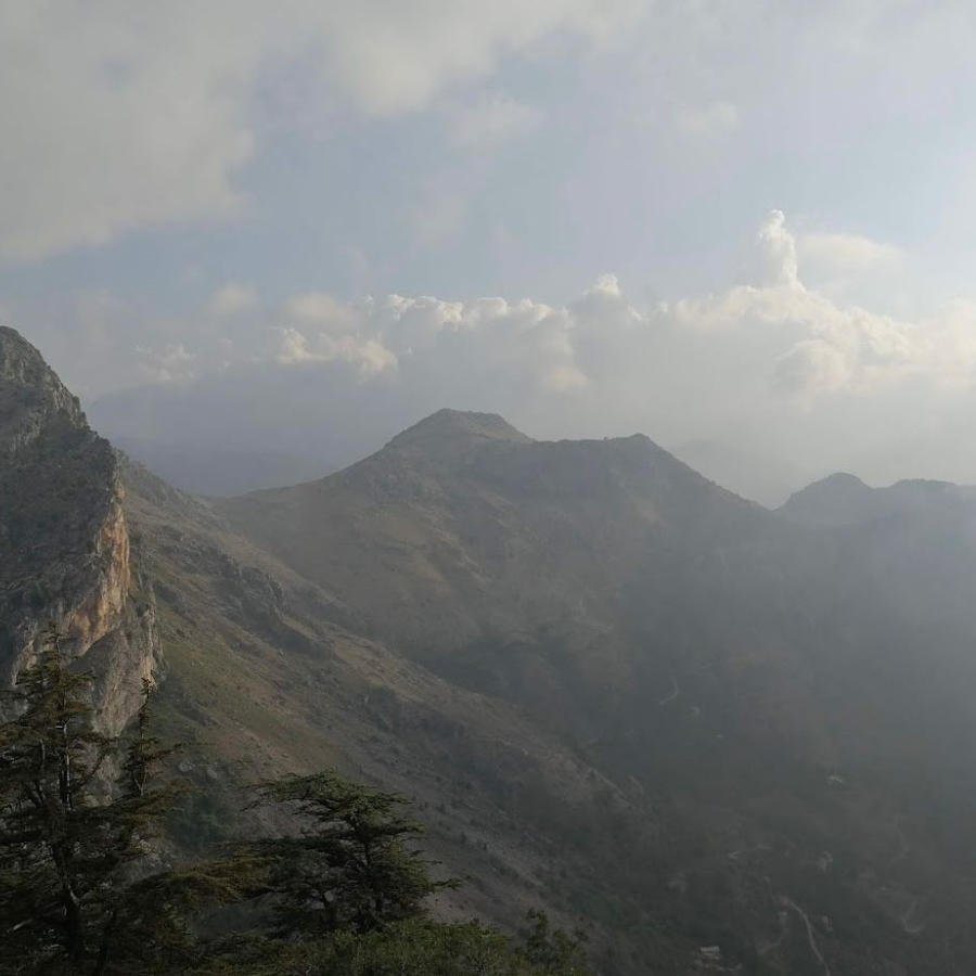 Tannourine Cedar Forest Nature Reserve