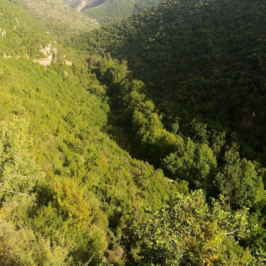 Tannourine El Tahta hike