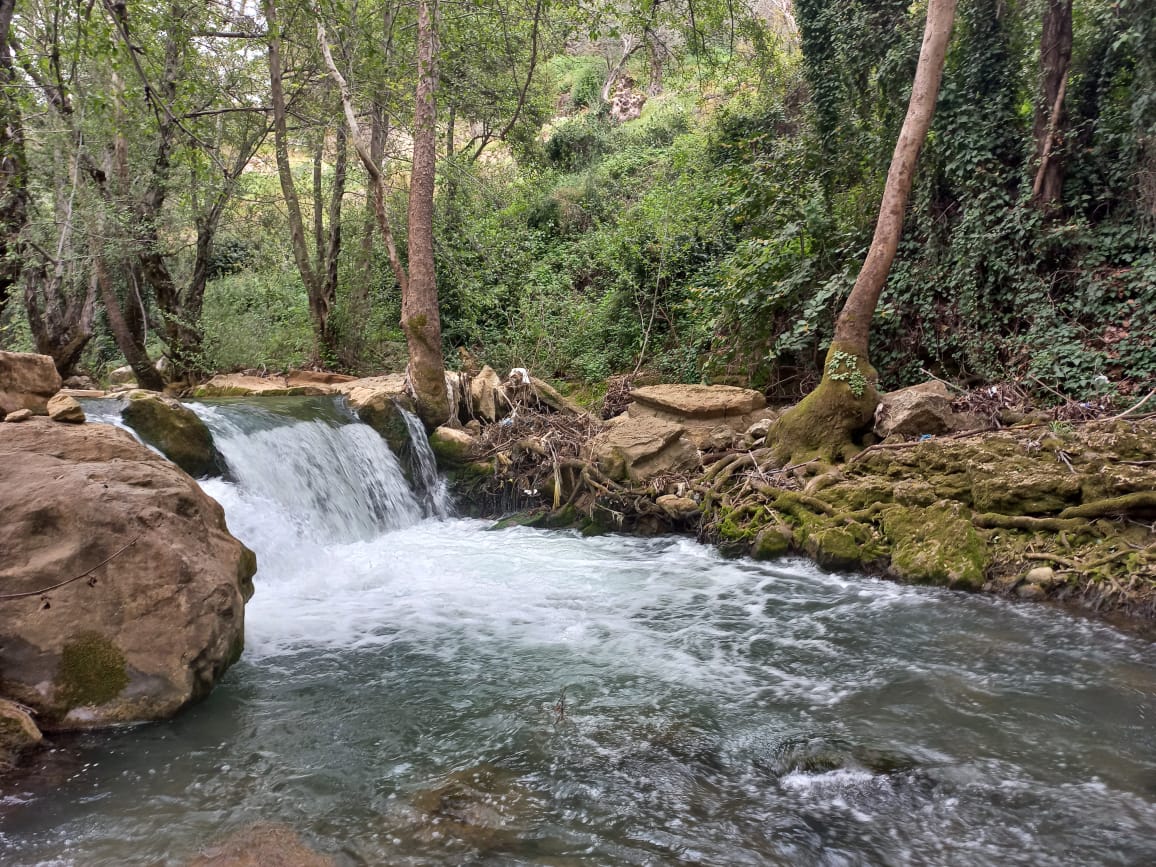 Stone Guesthouse with River Access – Jdeideh, El Chouf