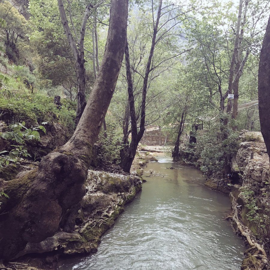 Al Jahliya River