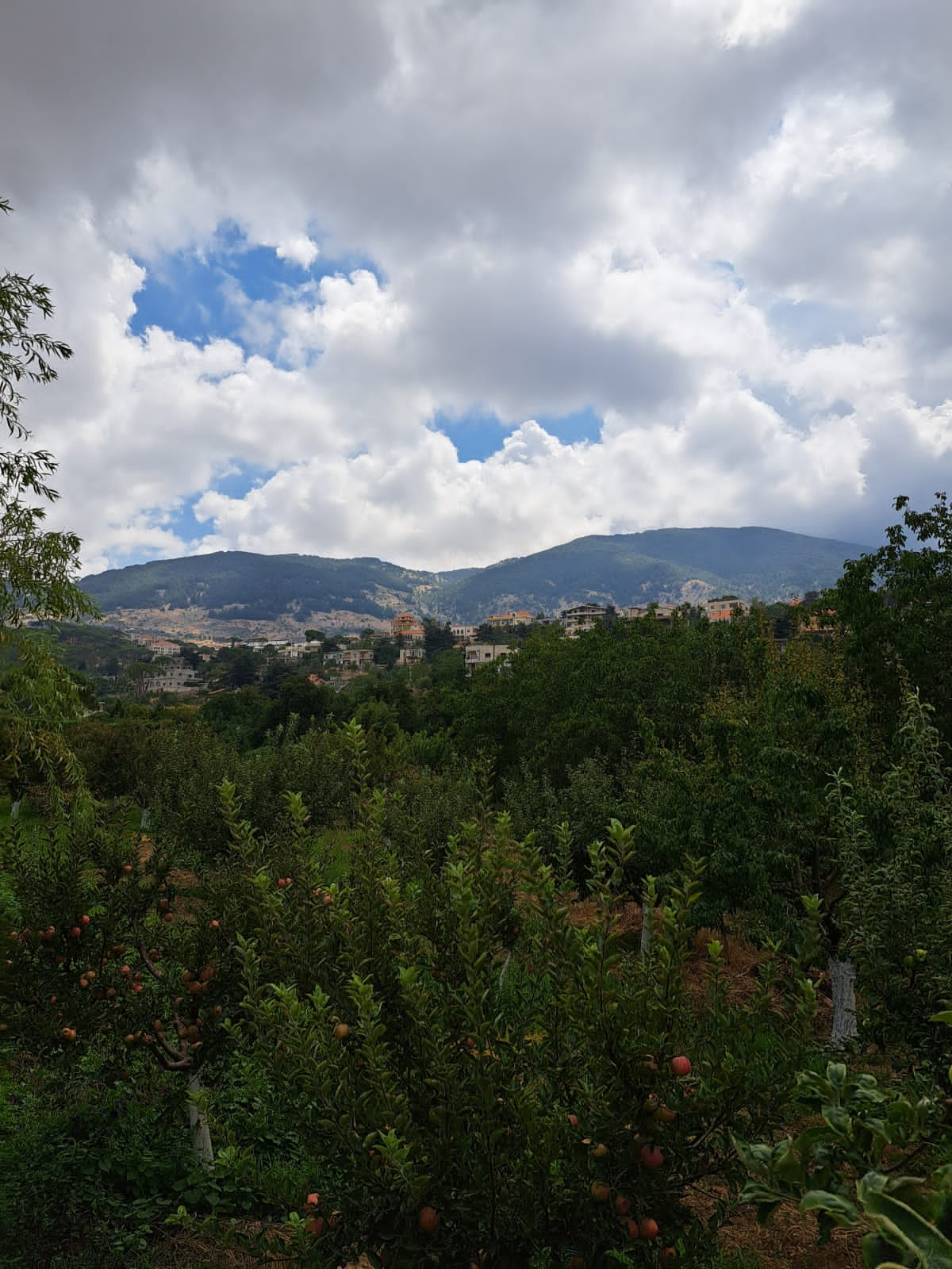 Private Eco-Friendly Studio – Barouk, Chouf