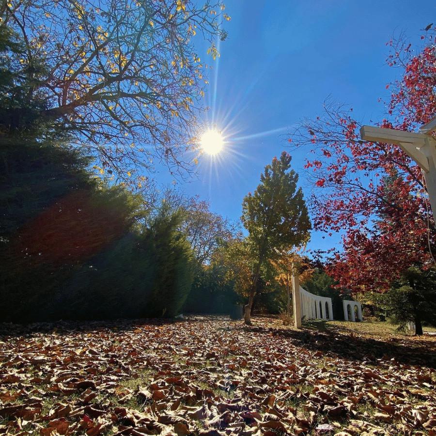 Bungalow – Ehden