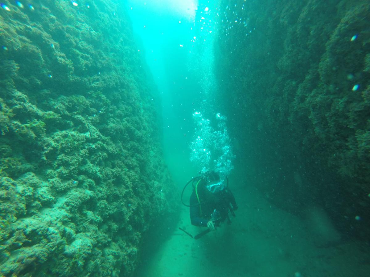 Diving in Batroun