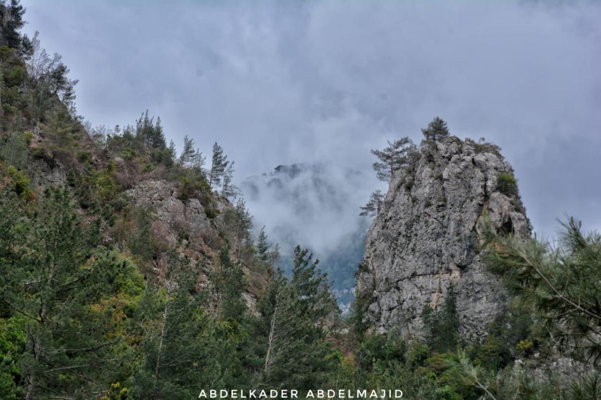 Fairies Trail –  Jhannam Valley, Akkar