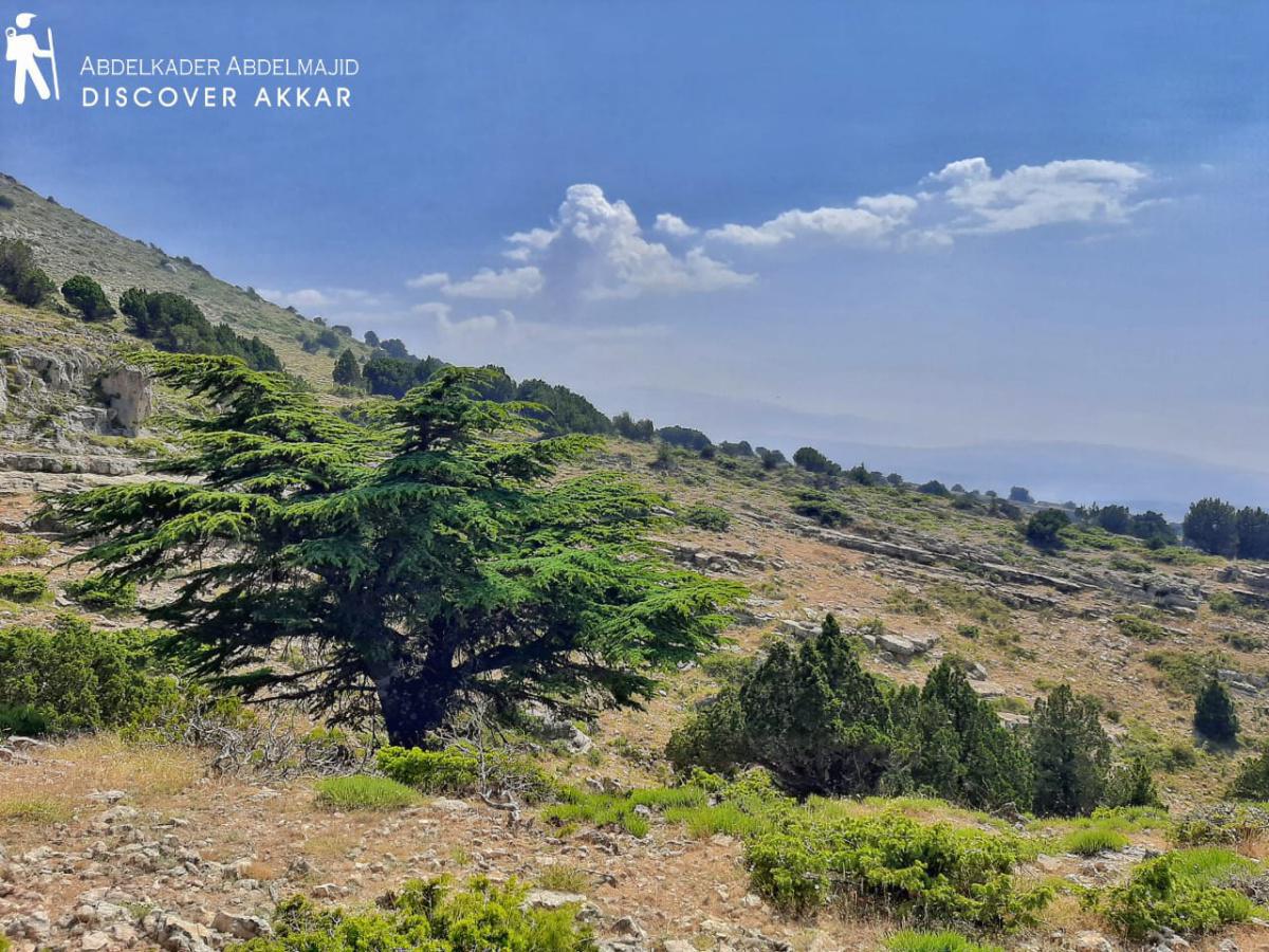 Arouba Valley Trail – Al Ezr, Akkar