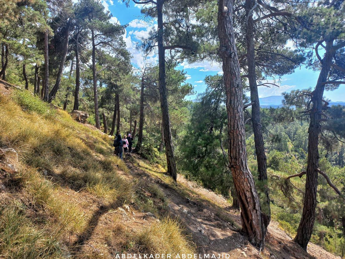 Pine Edge Trail – Al Ezr, Akkar