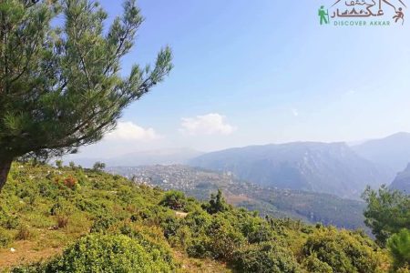 Pine Trail – Habchit, Akkar