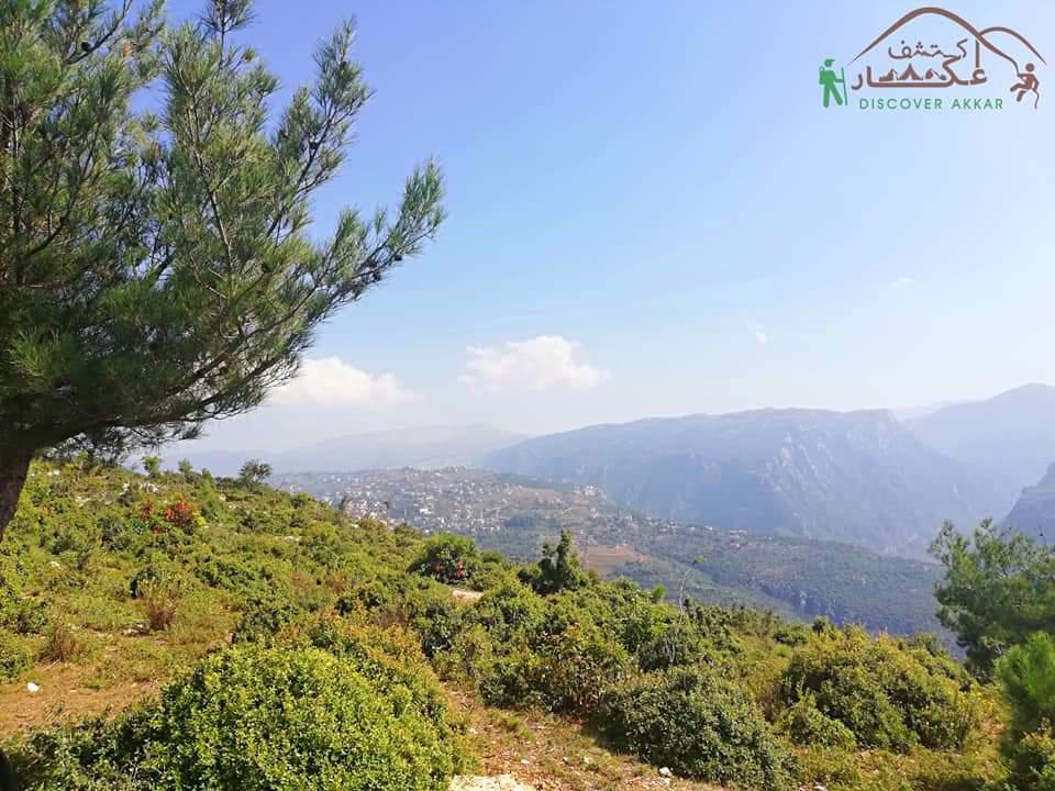 Pine Trail – Habchit, Akkar