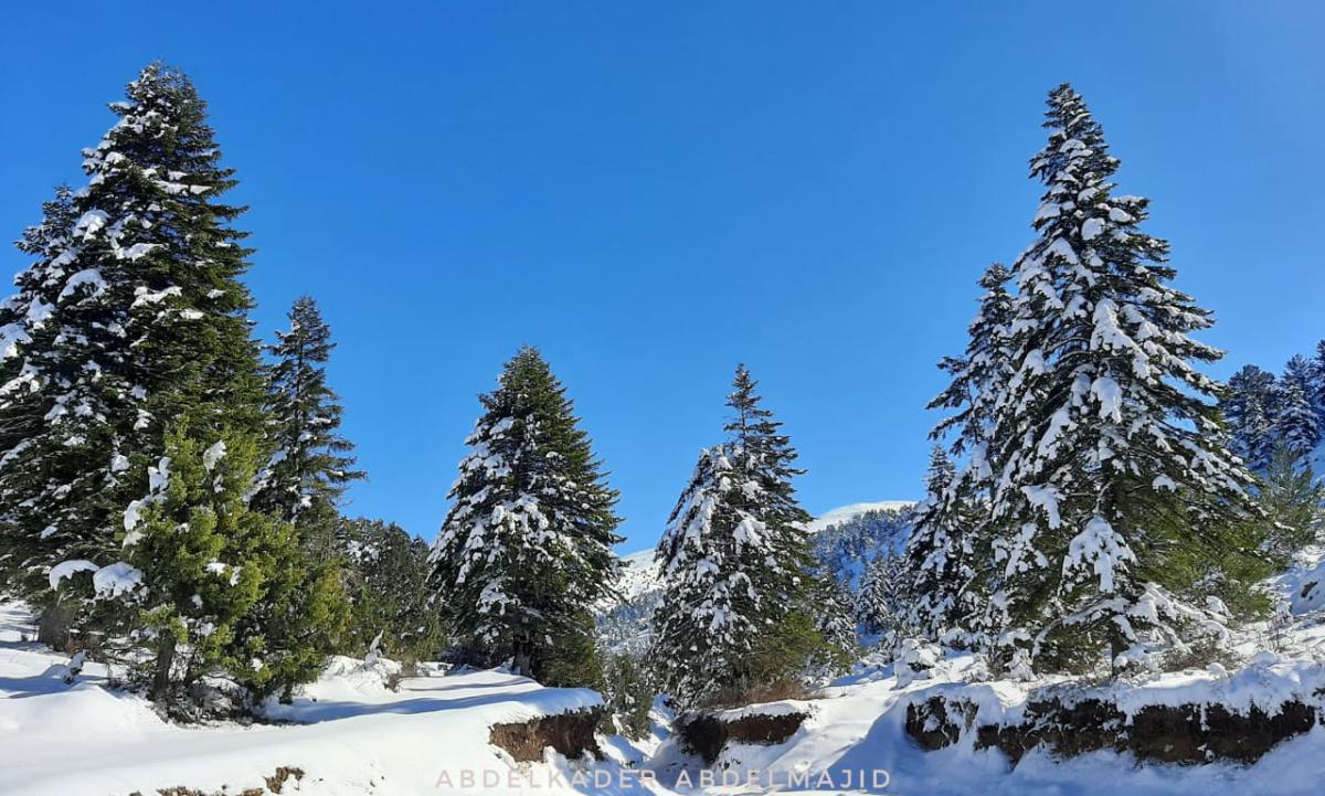 Snowshoeing – Akkar