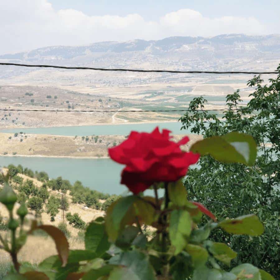 مطعم جبران