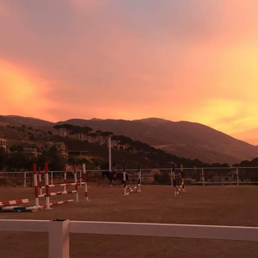 Cedars Horse Riding Club