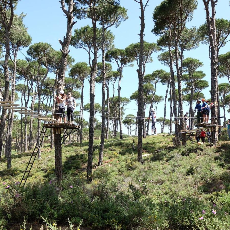 Cedars Horse Riding Club