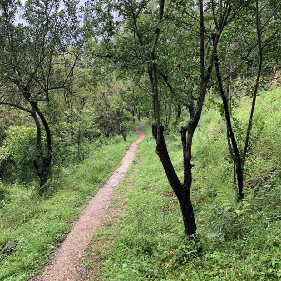 Abu Semaan Valley Reserve