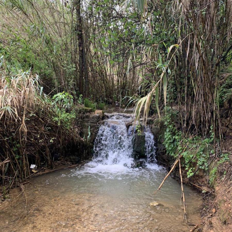 Abu Semaan Valley Reserve