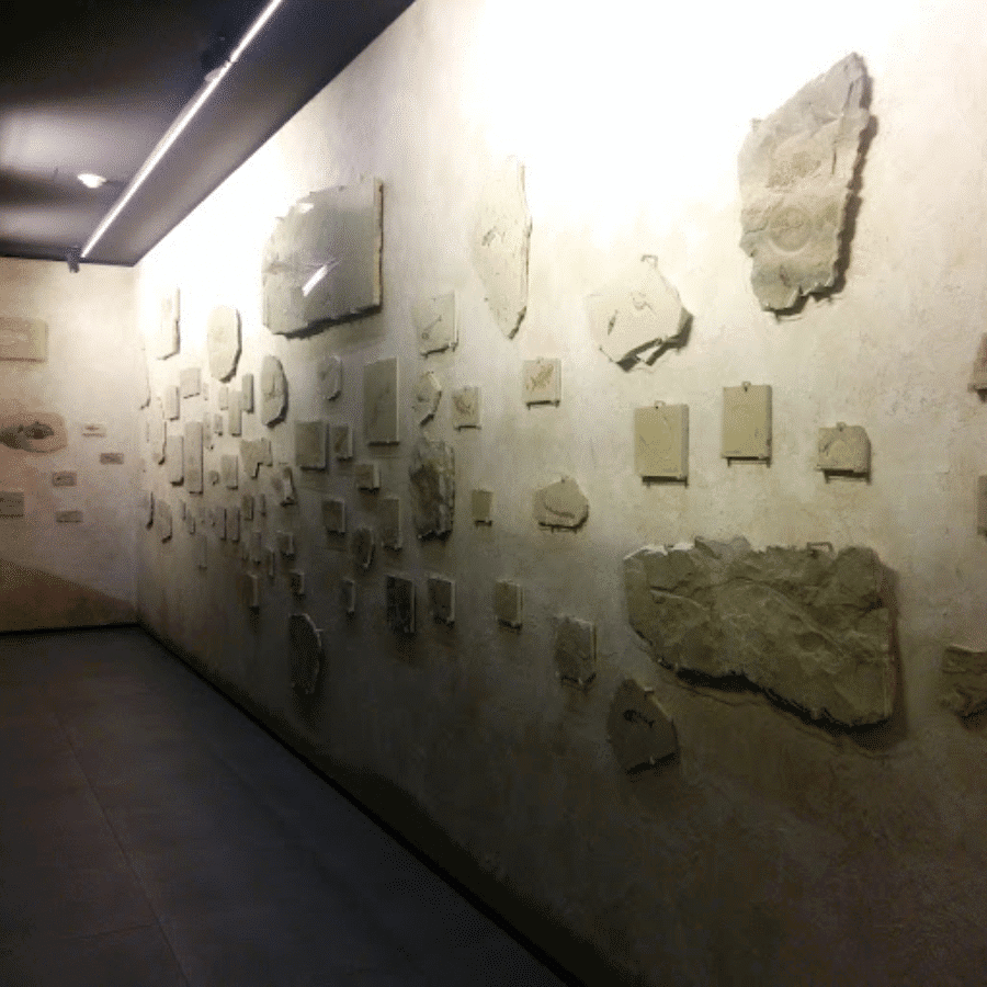 MIM Mineral Museum