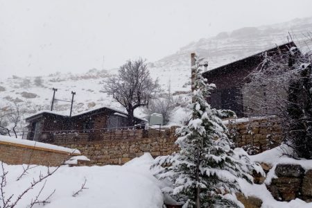 Huts – Faraya