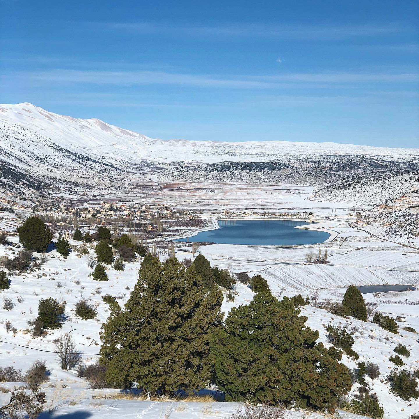 Yammoune Nature Reserve