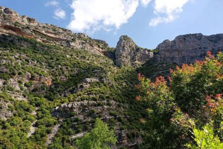 Traditional Guesthouse for Groups – Douma