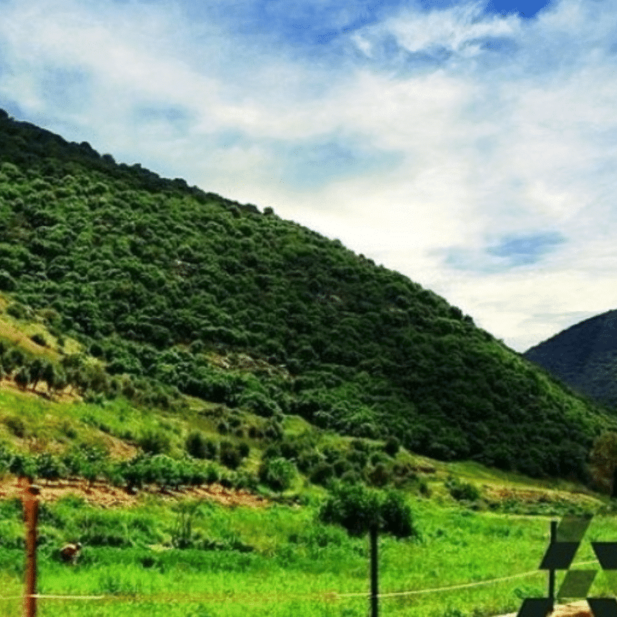 Al Houjeir Valley Reserve