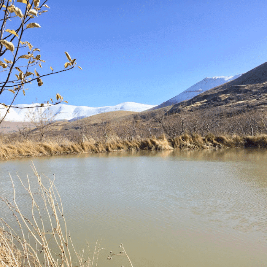 Sahna Ponds