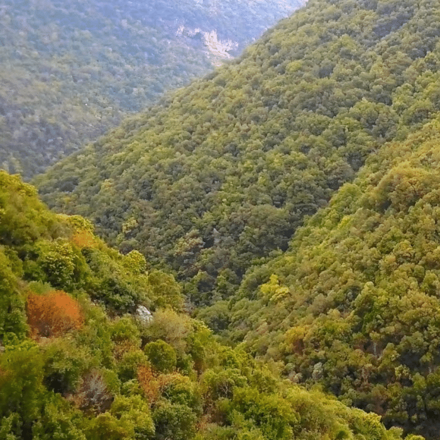 Bentael Nature Reserve