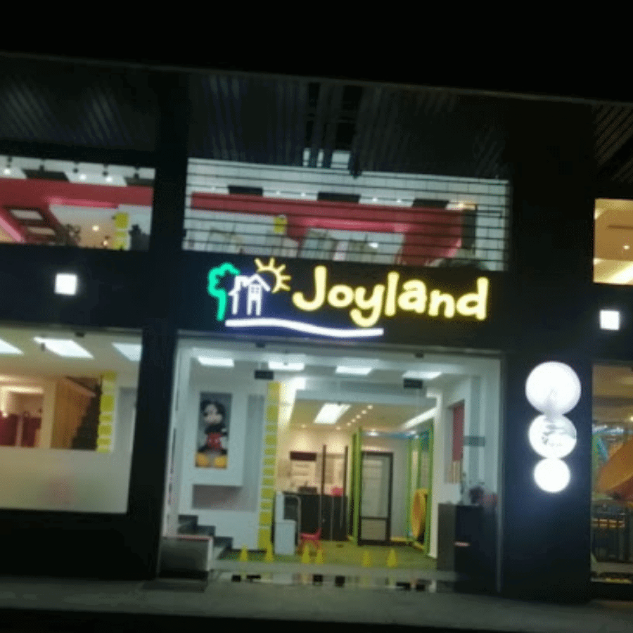 Joyland