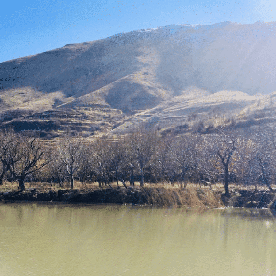 Sahna Ponds