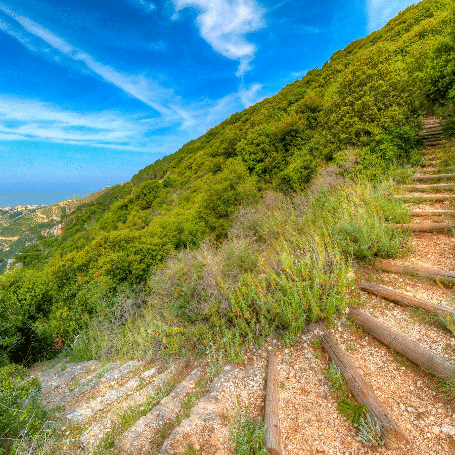 Bentael Nature Reserve