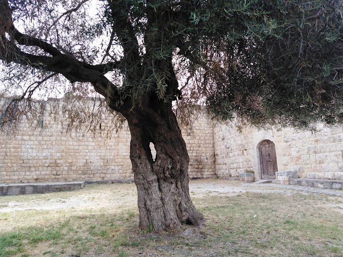 Barbar Agha Citadel