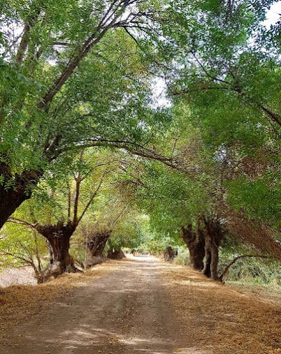 Ammiq Wetlands