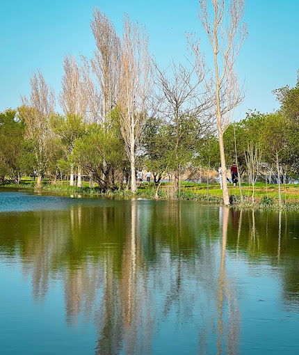 Ammiq Wetlands