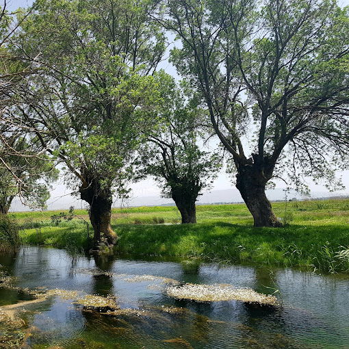 Ammiq Wetlands