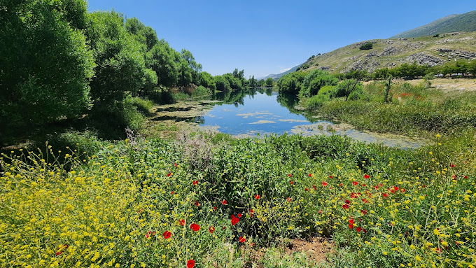 Ammiq Wetlands