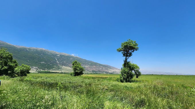 Ammiq Wetlands