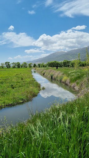 Ammiq Wetlands