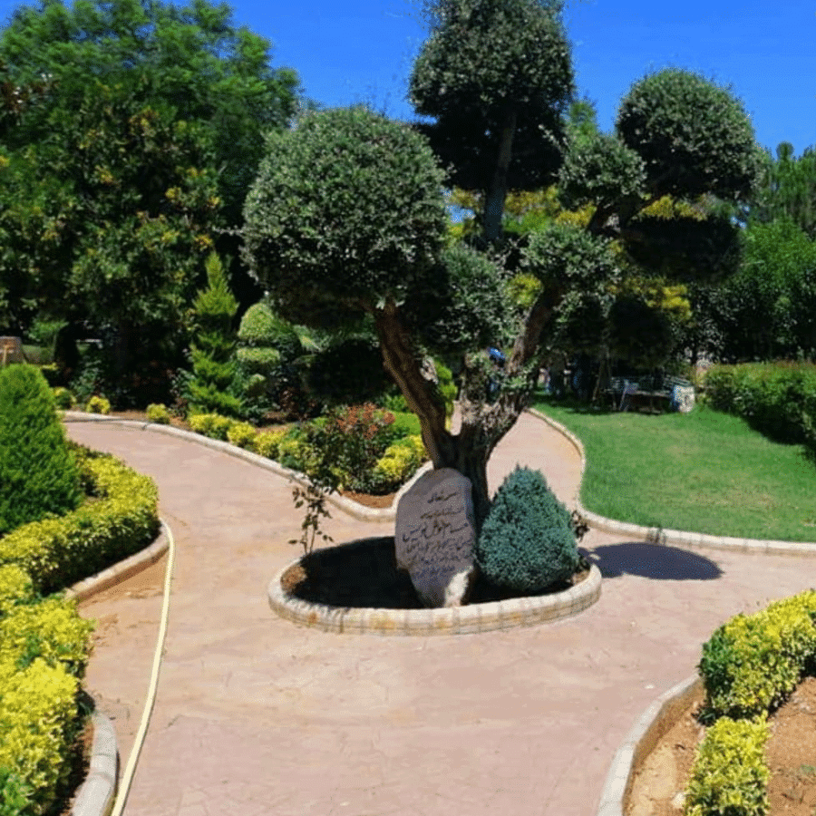 The garden of the Saydeh Al Maasoumeh