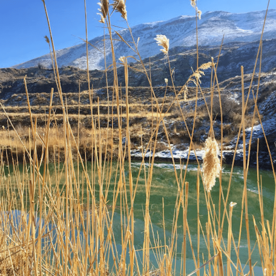 Sahna Ponds