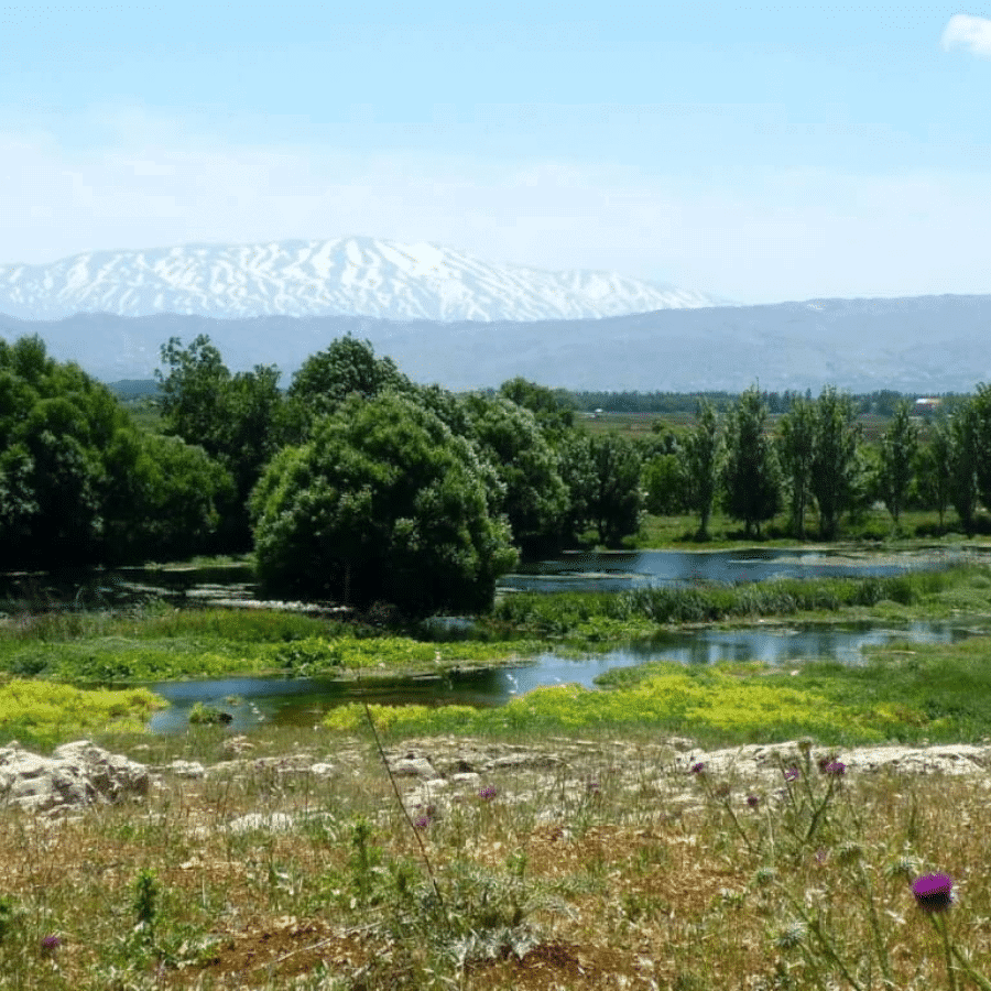 Bentael Nature Reserve