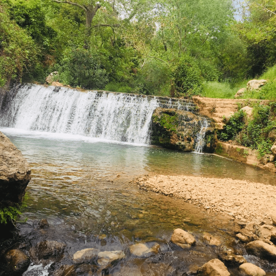 نبع عرب صاليم