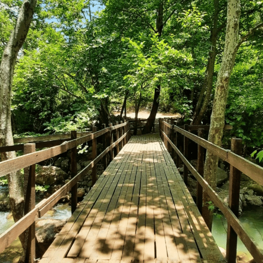 Wadi Al Saleeb Hike