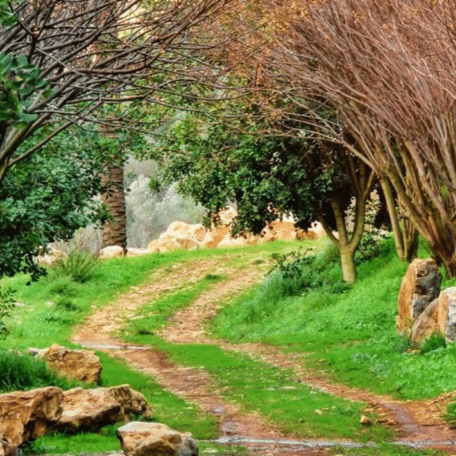 Al Houjeir Valley Reserve