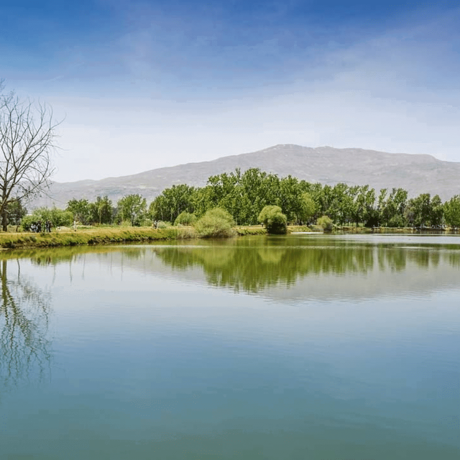 Deir Taanayel Reserve