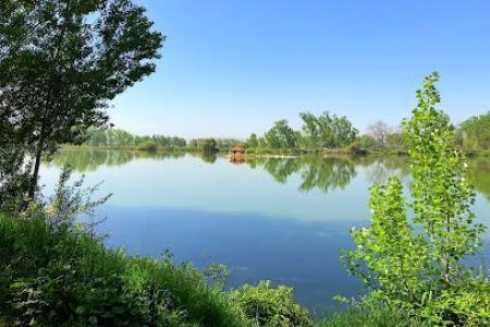 Deir Taanayel Reserve