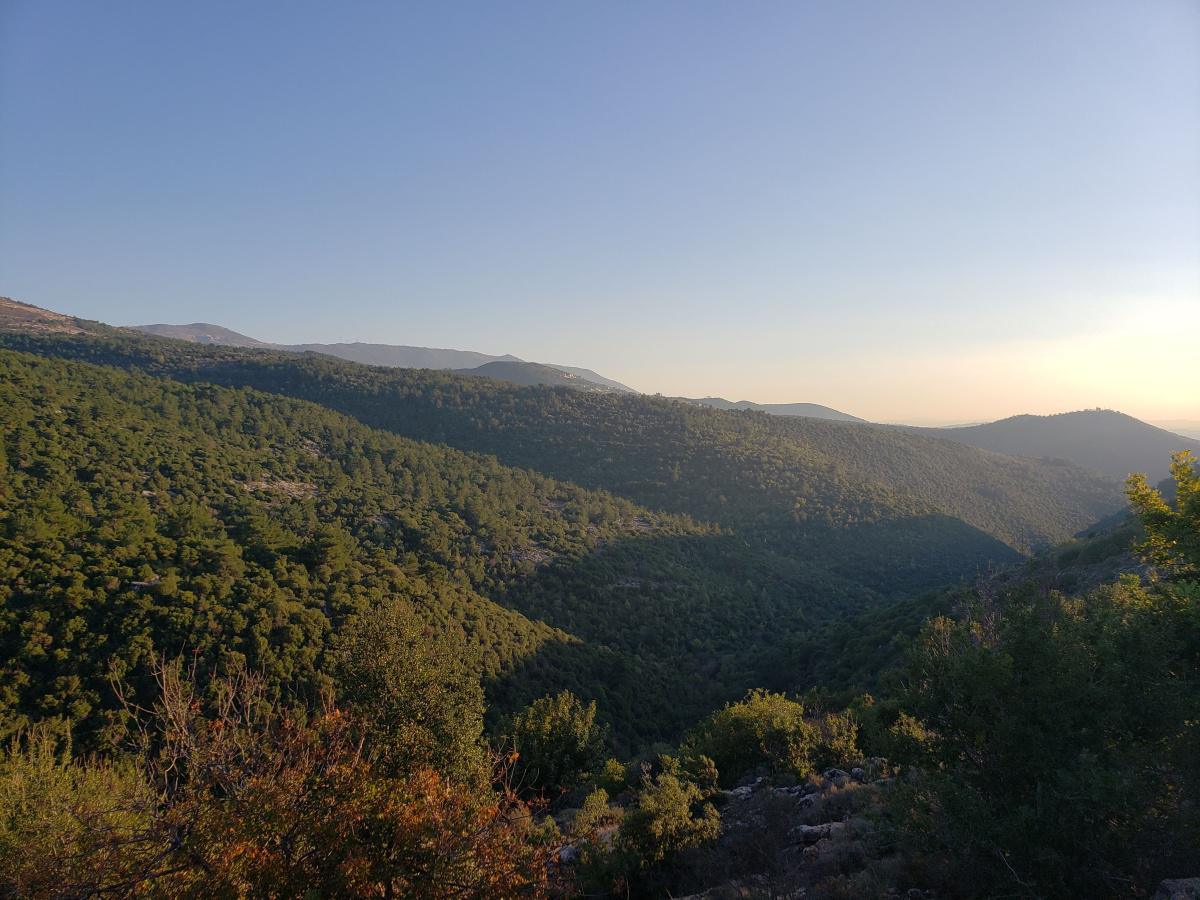 Scenic drive Kfar Falous