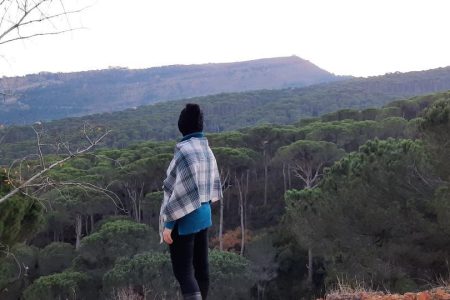 Bkassine Pine Forest