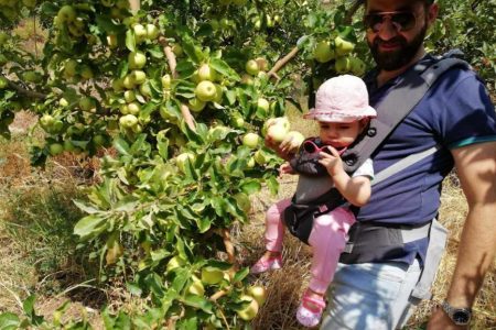 Fruit picking & Beehive tour – Akoura