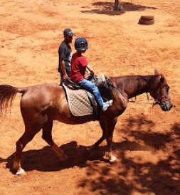 Zefta Horse Riding Club