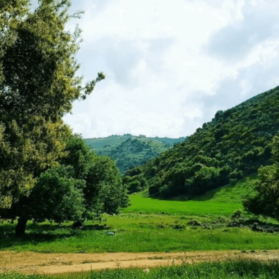 Al Houjeir Valley Reserve