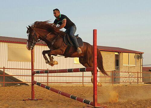 Cavallino Horse Riding Club – Jezzine