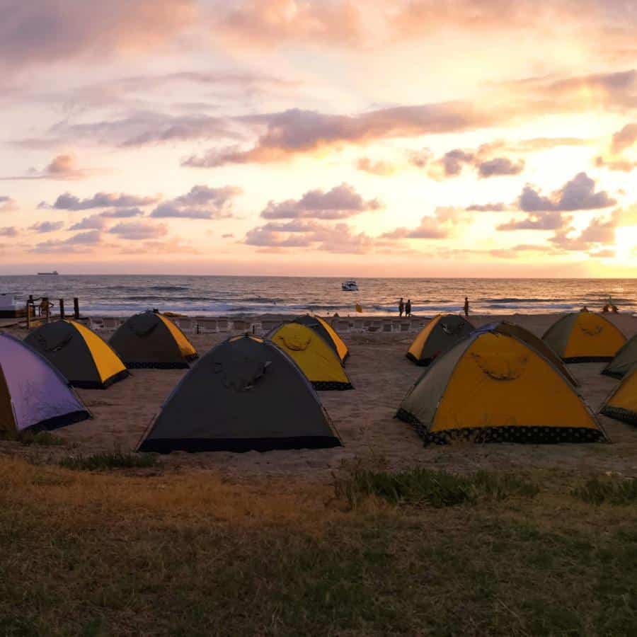 Plage des Rois